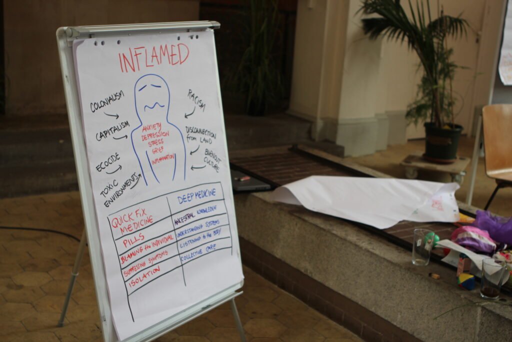On a flipchart page with the headline “Inflamed”, there is a simplified drawing of a person that has facial expressions that suggest that they are suffering. It is surrounded by words like colonialism, racism, capitalism, ecocide… Under it there is a table with words in red color that stand for a way of medical treatment of “Quick fix medicine” to health issues that is not favorable according to the authors Rupay Marya and Raj Patel of the book “Inflamed: Deep Medicine and the Anatomy of Injustice“. These are: pills, blaming the individual, suppressing symptoms and isolation. On the other side of the table, it includes treatment approaches of “Deep Medicine” that draws from ancestral knowledge, understanding systems, listening to the body and collective care. 
